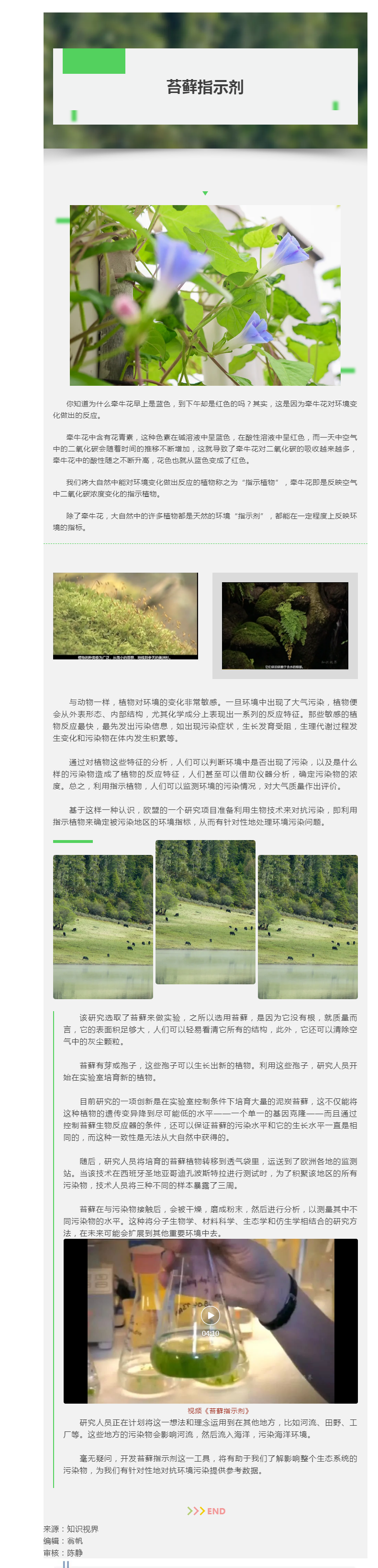 搜狗截图24年12月31日1637_5.png